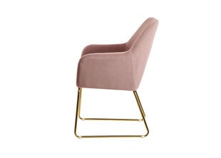 Обеденный стул Tool, розовый цвет цена и информация | Стулья для кухни и столовой | pigu.lt