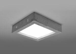 Sollux Lighting потолочный светильник Riza цена и информация | Потолочные светильники | pigu.lt