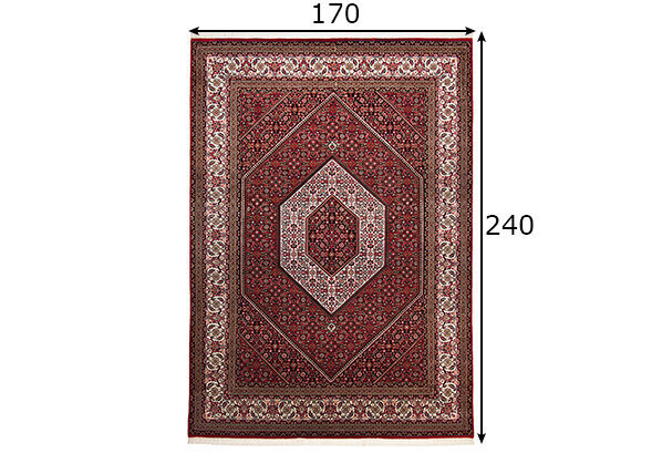 Theko kilimas Sirsa Silk 170x240 cm kaina ir informacija | Kilimai | pigu.lt