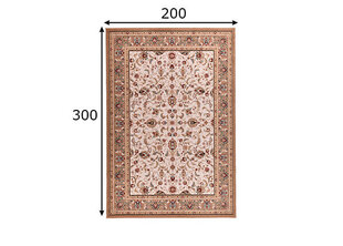 Theko kilimas Dolna 200x300 cm kaina ir informacija | Kilimai | pigu.lt