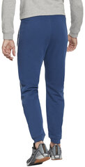 Reebok Брюки Wor Piping Jogger Blue HA1071 HA1071/S цена и информация | Мужская спортивная одежда | pigu.lt