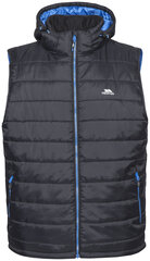 Мужской жилет Trespass Franklyn Male Padded Gilet цена и информация | Мужские жилетки | pigu.lt