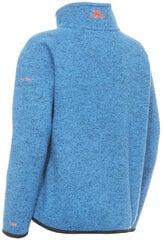 Свитер Mario Male Fleece AT300 MCFLFLM20002-BM1.9/10 цена и информация | Свитеры, жилетки, пиджаки для мальчиков | pigu.lt