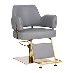 Profesionali kirpyklos kėdė Gabbiano Linz, pilka/auksinė kaina ir informacija | Baldai grožio salonams | pigu.lt