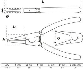 Apsauginės replės | tiesiai | išoriniams užsegimams | 225 mm BGS Technic-650-3 kaina ir informacija | Mechaniniai įrankiai | pigu.lt