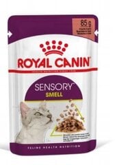 Консервы Royal Canin Sensory Smell Gravy для кошек, 12x85 г цена и информация | Консервы для кошек | pigu.lt