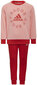Adidas sportinis kostiumas mergaitėms Lk Logo Jog Set Red Pink H65799 H65799/128 цена и информация | Kelnės mergaitėms | pigu.lt