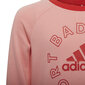 Adidas sportinis kostiumas mergaitėms Lk Logo Jog Set Red Pink H65799 H65799/128 kaina ir informacija | Kelnės mergaitėms | pigu.lt