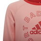 Adidas sportinis kostiumas mergaitėms Lk Logo Jog Set Red Pink H65799 H65799/128 цена и информация | Kelnės mergaitėms | pigu.lt