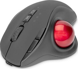 Digitus Ergonomic kaina ir informacija | Pelės | pigu.lt