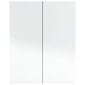 Veidrodinė vonios spintelė, pilkos spalvos, 60x15x75 cm kaina ir informacija | Vonios spintelės | pigu.lt