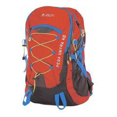 Спортивные рюкзак Joluvi 235830-1221, оранжевый цена и информация | Рюкзаки и сумки | pigu.lt