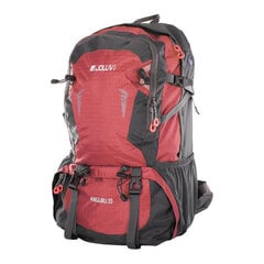 Горный рюкзак Joluvi Angliru 55, красный цена и информация | Туристические, походные рюкзаки | pigu.lt