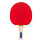 Stalo teniso rakečių ir kamuoliukų rinkinys Atipick RQP40403 kaina ir informacija | Stalo teniso raketės, dėklai ir rinkiniai | pigu.lt