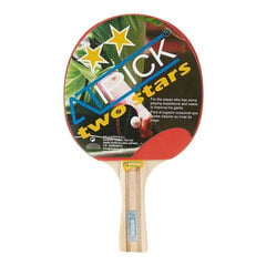 Ракетка для пинг-понга Atipick RQP40400, для начинающих цена и информация | Ракетки для настольного тенниса, чехлы и наборы | pigu.lt