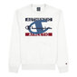 Champion džemperis vyrams Authentic Athletic, baltas kaina ir informacija | Sportinė apranga vyrams | pigu.lt