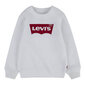 Džemperis vaikams Levi's Batwing Crewneck , baltas kaina ir informacija | Megztiniai, bluzonai, švarkai berniukams | pigu.lt