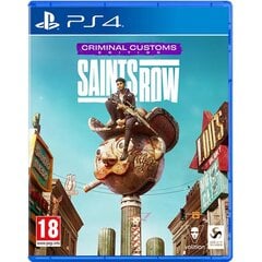 Saints Row Criminal Customs Edition Playstation 4 PS4 игра цена и информация | Компьютерные игры | pigu.lt