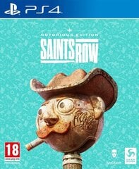 Saints Row Notorious Edition Playstation 4 PS4 игра цена и информация | Компьютерные игры | pigu.lt