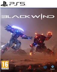Blackwind Playstation 5 PS5 žaidimas kaina ir informacija | Kompiuteriniai žaidimai | pigu.lt