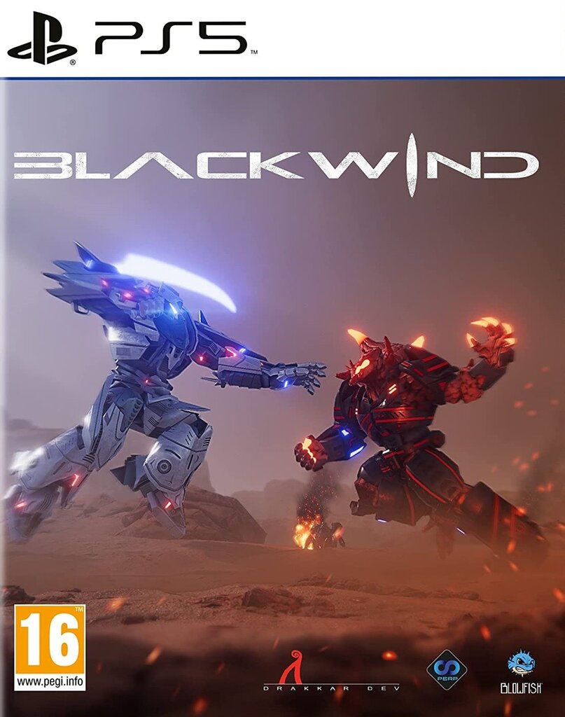 Blackwind Playstation 5 PS5 žaidimas kaina ir informacija | Kompiuteriniai žaidimai | pigu.lt