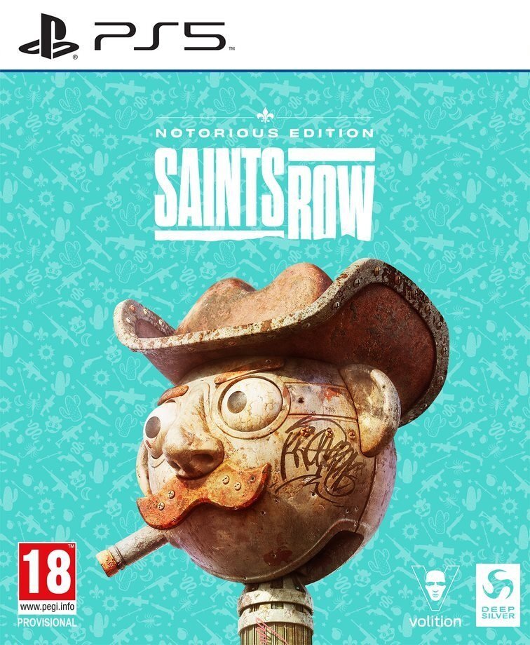 Saints Row Notorious Edition, PS5 kaina ir informacija | Kompiuteriniai žaidimai | pigu.lt