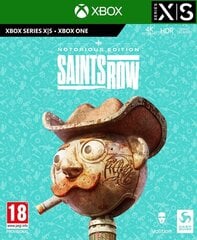 Saints Row Notorious Edition, Xbox One kaina ir informacija | Kompiuteriniai žaidimai | pigu.lt