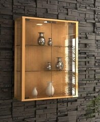 Подвесная витрина Udina, коричневый цена и информация | Витрины, серванты | pigu.lt
