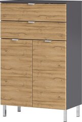 Шкафчик для ванной комнаты Mauresa, 60x34x97 см, коричневый / темно-серый цена и информация | Шкафчики для ванной | pigu.lt