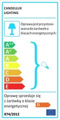 Candellux lubinis šviestuvas Puzzle kaina ir informacija | Lubiniai šviestuvai | pigu.lt