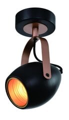 Потолочный светильник 5592-81797 цена и информация | Потолочные светильники | pigu.lt