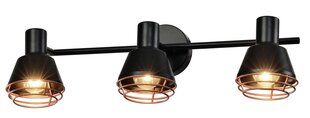 Candellux Neria потолочный светильник 93-82572 цена и информация | Потолочные светильники | pigu.lt