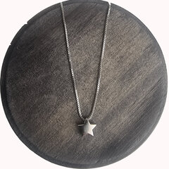 Ожерелье для женщин Infi Accessories Star цена и информация | Женское колье | pigu.lt