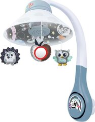 Карусель с дизайнерским Winfun 3in1 цена и информация | Игрушки для малышей | pigu.lt