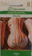 Мускатная тыква Violina, 2 шт. цена и информация | Семена овощей, ягод | pigu.lt