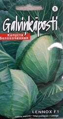 Капуста белокочанная Леннокс F1, 2 шт. цена и информация | Семена овощей, ягод | pigu.lt