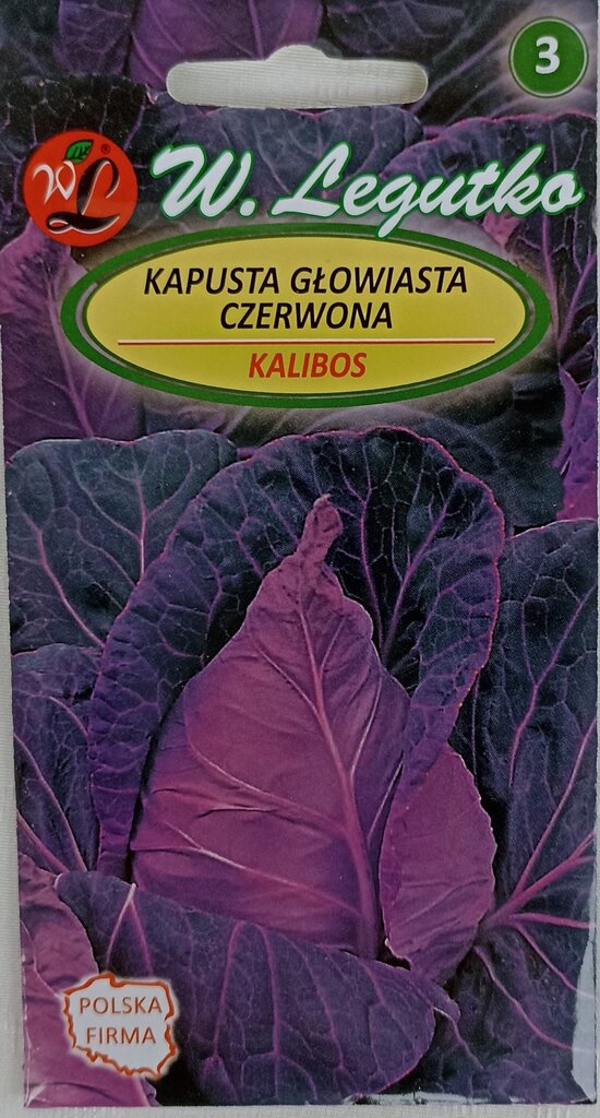 Kopūstai raudoni kūginiai Kalibos, 2 vnt kaina ir informacija | Daržovių, uogų sėklos | pigu.lt