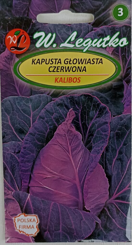 Kopūstai raudoni kūginiai Kalibos, 2 vnt цена и информация | Daržovių, uogų sėklos | pigu.lt