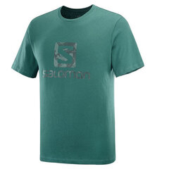 Marškinėliai vyrams Salomon S6427475, žali kaina ir informacija | Sportinė apranga vyrams | pigu.lt