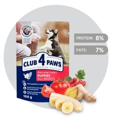 CLUB 4 PAWS Premium visavertis konservuotas ėdalas šuniukams su kalakutiena padaže, 100 g x 24 vnt. kaina ir informacija | Konservai šunims | pigu.lt