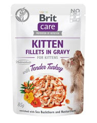 Brit Care Fillets in gravy su kalakutiena, 24 x 85 g kaina ir informacija | Konservai katėms | pigu.lt