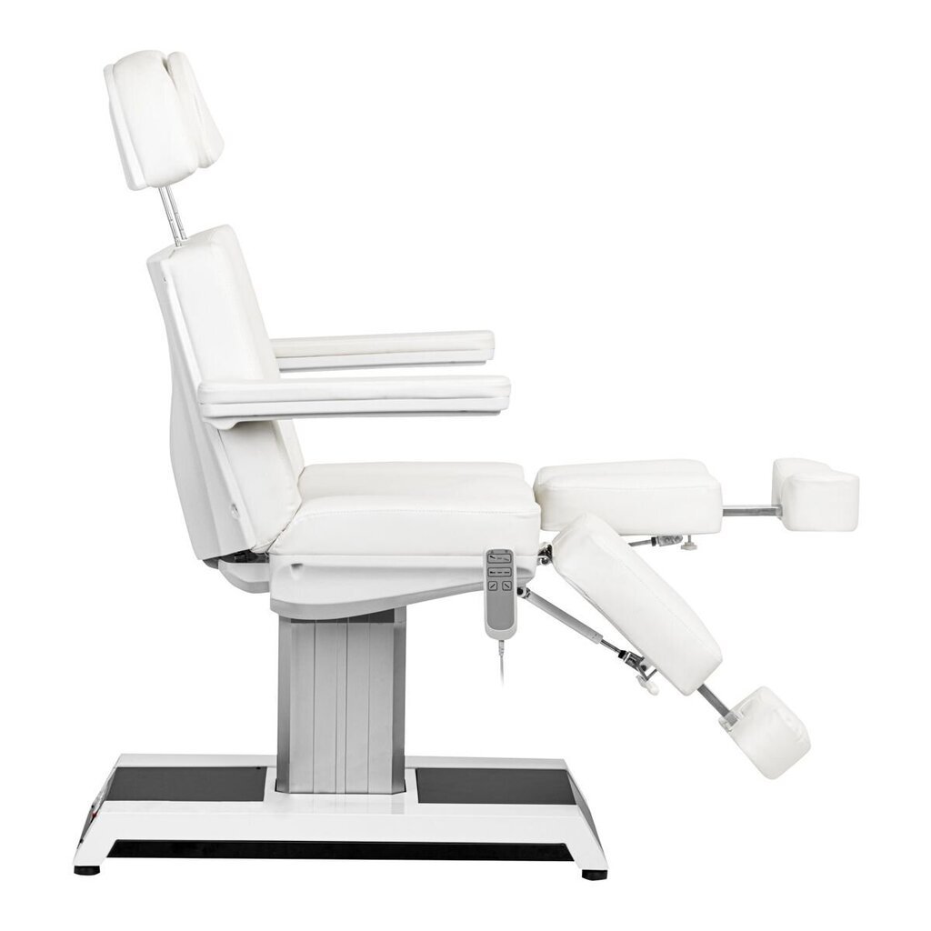 Profesionali elektrinė pedikiūro kėdė - gultas W-16C цена и информация | Baldai grožio salonams | pigu.lt
