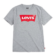 Marškinėliai vaikams Levi's Batwing S6424505, pilki kaina ir informacija | Marškinėliai berniukams | pigu.lt