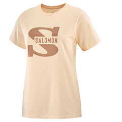 Футболка с коротким рукавом мужская Salomon Big Logo Nude цена и информация | Мужская спортивная одежда | pigu.lt