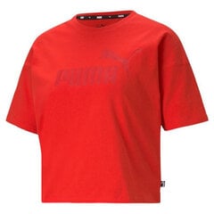 Футболка с коротким рукавом мужская Puma Essentials Logo, красная S6415332 цена и информация | Мужская спортивная одежда | pigu.lt