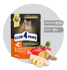 CLUB 4 PAWS Premium visavertis konservuotas ėdalas suaugusioms katėms gabalėliai su silke ir strimelėmis drebučiuose, 80 g x 24 vnt. kaina ir informacija | Konservai katėms | pigu.lt