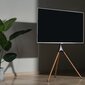 Alterzone Trio 45 "-65" kaina ir informacija | Monitorių laikikliai | pigu.lt