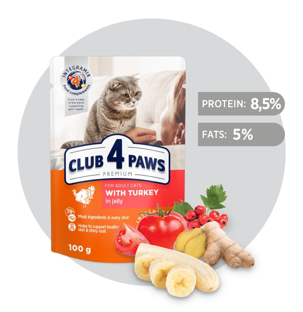 CLUB 4 PAWS Premium visavertis konservuotas ėdalas suaugusioms katėms su kalakutiena drebučiuose, 100 g x 24 vnt. цена и информация | Konservai katėms | pigu.lt