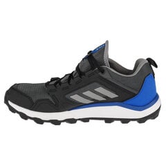 Kedai vyrams Adidas Terrex Agravic Tr GTX M FW5132 kaina ir informacija | Kedai vyrams | pigu.lt