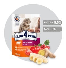 CLUB 4 PAWS Premium visavertis konservuotas ėdalas suaugusioms katėms su jautiena drebučiuose, 100 g x 24 vnt. kaina ir informacija | Konservai katėms | pigu.lt